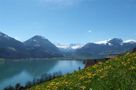 Rundwanderung um den Sarnersee • Wanderung »。